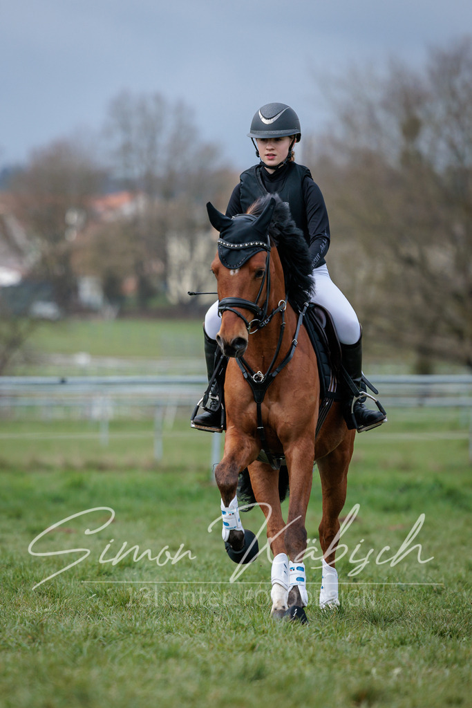 20260329-_3LI4630 | Tierfotografie Pferde, Hunde, Katzen, Haustiere.
Turnierfotografie Reitturniere, Reiten, Springreiten, Dressur in Hanau, dem Main-Kinzig-Kreis und dem Rhein-Main- Gebiet um Frankfurt
