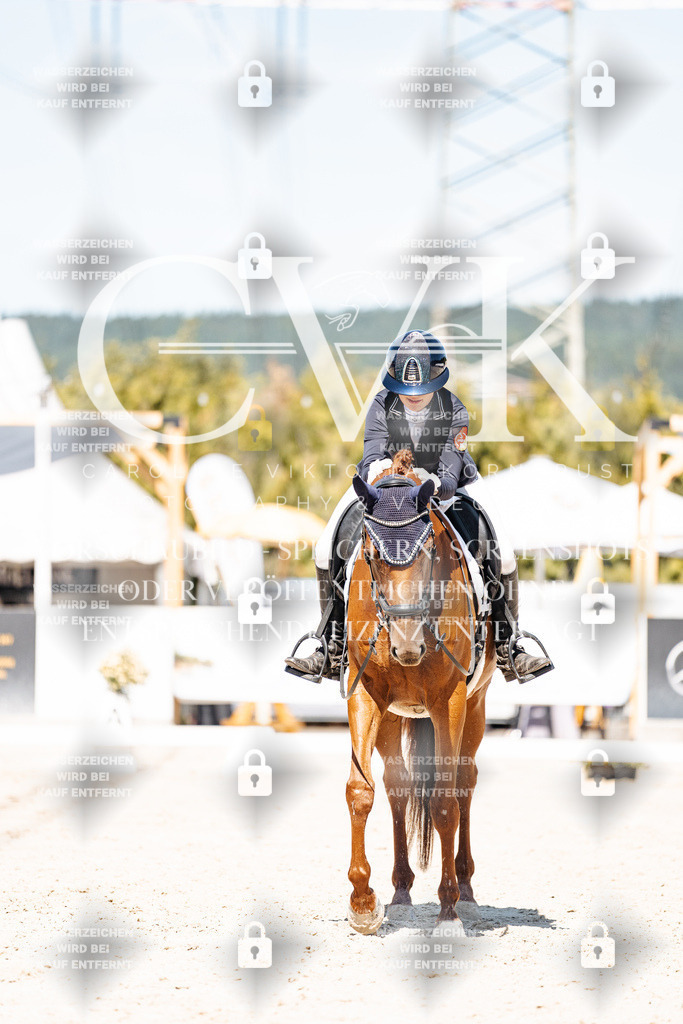 CK909730 | Turnierfotografie Pferdefotografie Trier Rheinland-Pfalz Pferdesport Reitsport Tierfotografie Sportfotografie Pferdevideo Pferdevideografie Equestrianvideography equestrianphotography  - Realisiert mit Pictrs.com