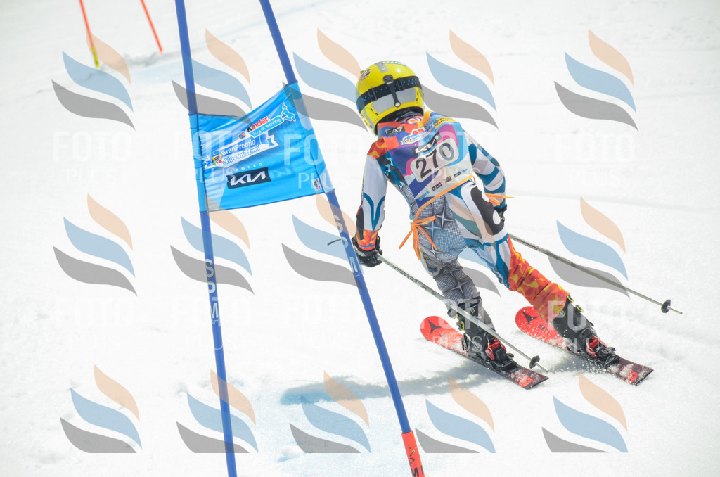 _ELE7795 | holidayphoto