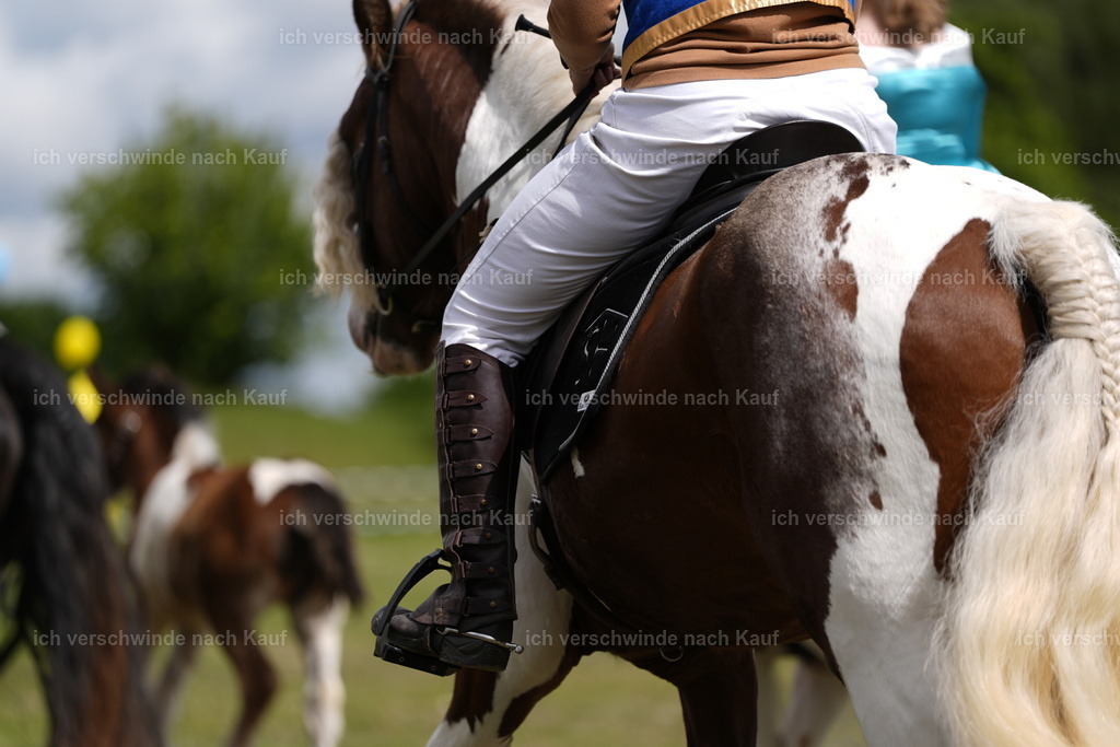 PI26_Show_BTS_StoibphotographyPI26_Show_BTS_Stoibph_DSC0902.JPG.JPG | working equitationturnier fotograf videograf stoibphotography marixx film working equitation deutschland reitsport turnierfotografie eventfotografie equestrian events