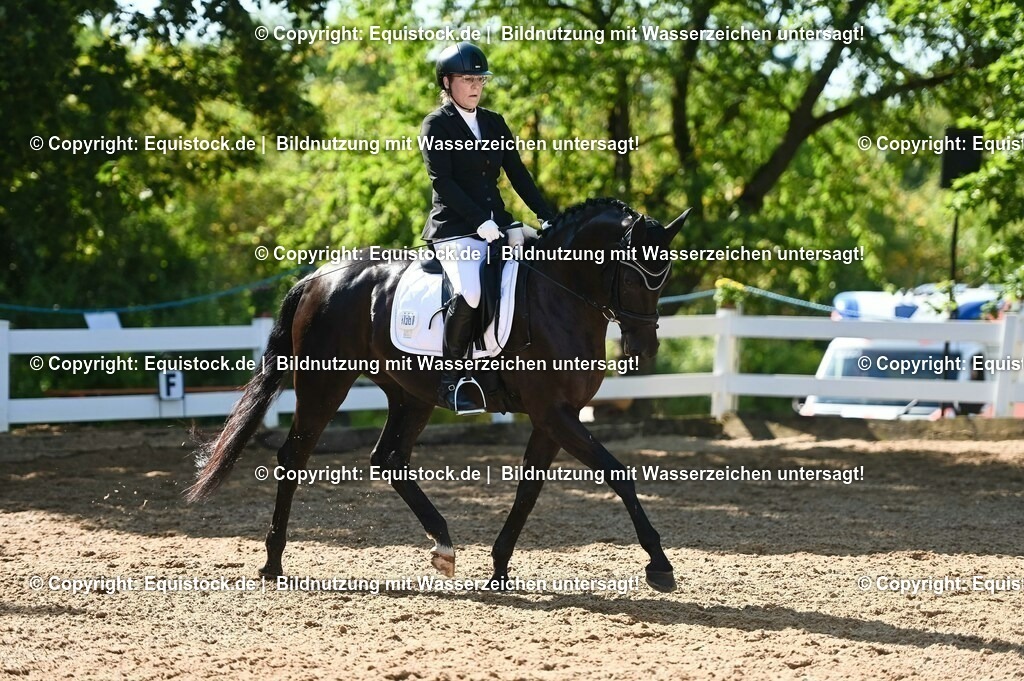 20230715_06_Dressurpferdeprfg. Kl.A_0336 | equistock