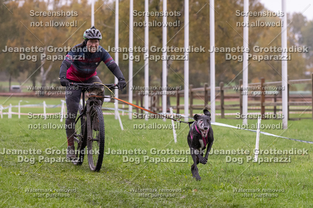 Dog Paparazzi - SD CaniX Championship 2025-935 | Dog Paparazzi Jeanette Grottendiek Fotografie & Videografie - Realisiert mit Pictrs.com