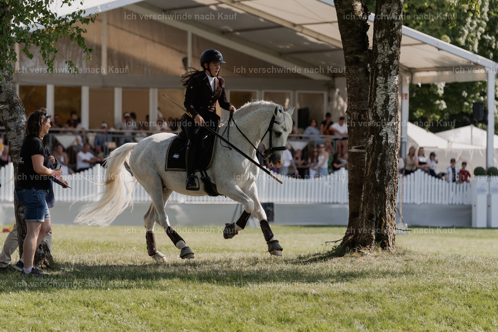SIN00629 | Pferd International München 2025