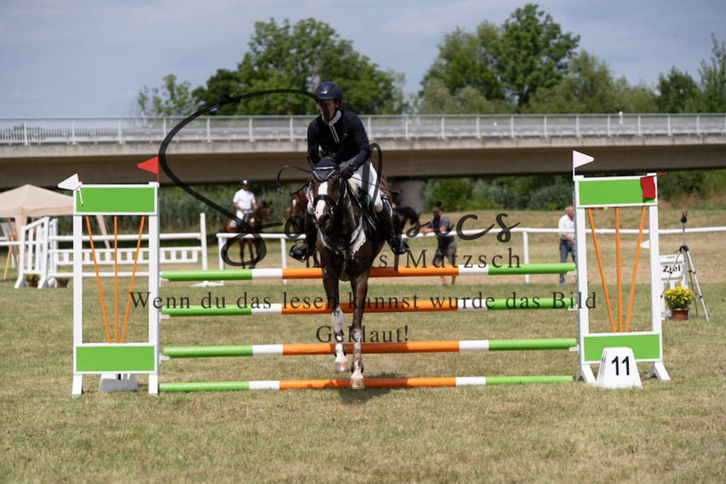 A7V02043 | Pferdefotograf