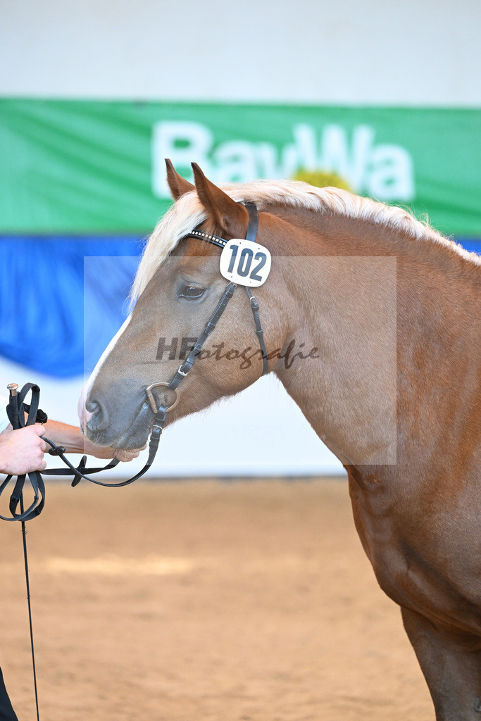 Kat-Nr. 102 Malea_ZG Schmidt_53220718 | hf-fotografie - Realizzato con Pictrs.com