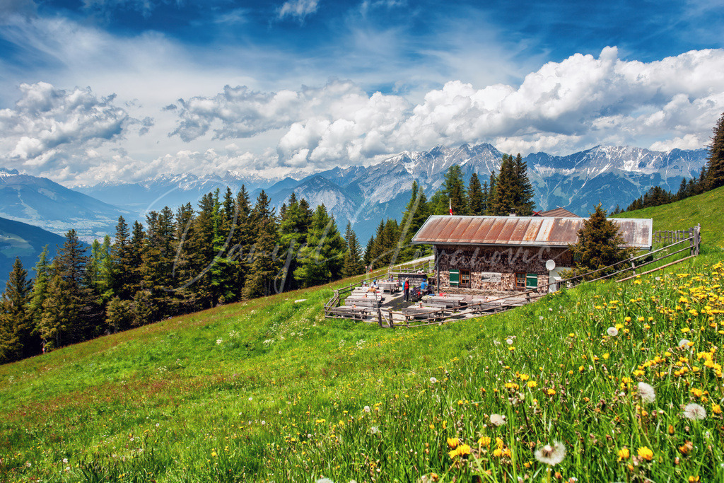 Patscher Alm | Almsommer auf der Patscher Alm am Patscherkofel