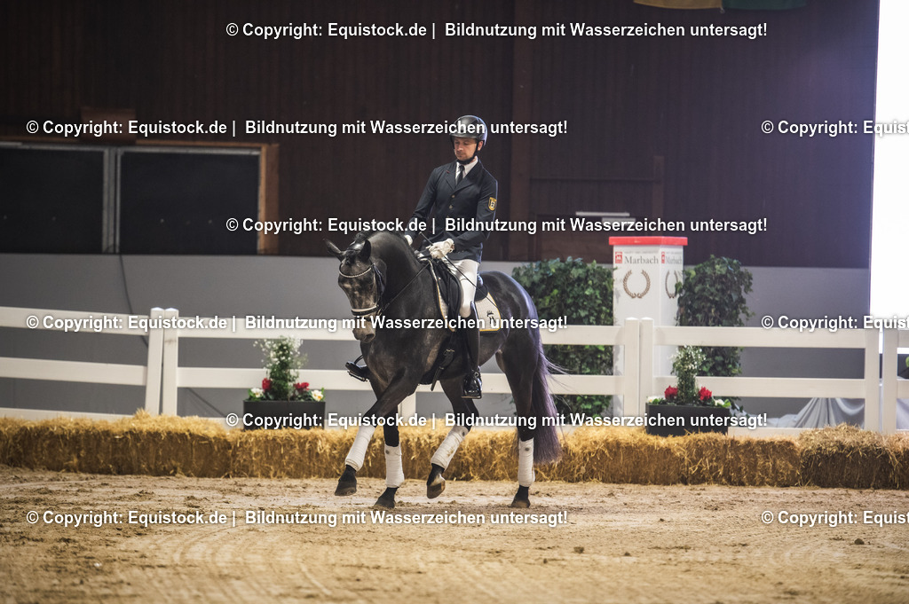 20240302_Hengstvorstellung_Marbach_TOMsPiC_0159 | equistock