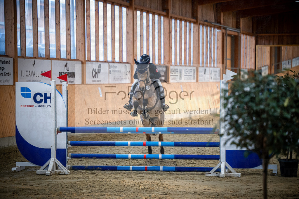 DOS_1333 | Entdecke hochwertige Reitturnierfotos von Foto Oger. Professionell, emotional und authentisch – jetzt Lieblingsmomente im Shop bestellen.Deutschlandweite Turnierfotografie. - Realisiert mit Pictrs.com