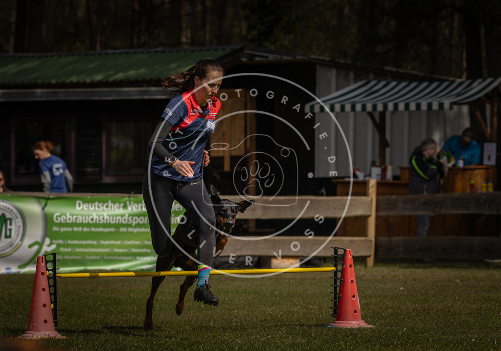 Pfotenfotografie_DV3A3808 | Hundefotografie, Tierfotograf, Pfotenfotografie, Fotoshooting Hund, Hunde Portrait, Hundesport, Hundeportraits, Heideshooting, Hunde, Sportfotograf, Hundefotograf, Turnierhundsport, THS,  - Realisiert mit Pictrs.com
