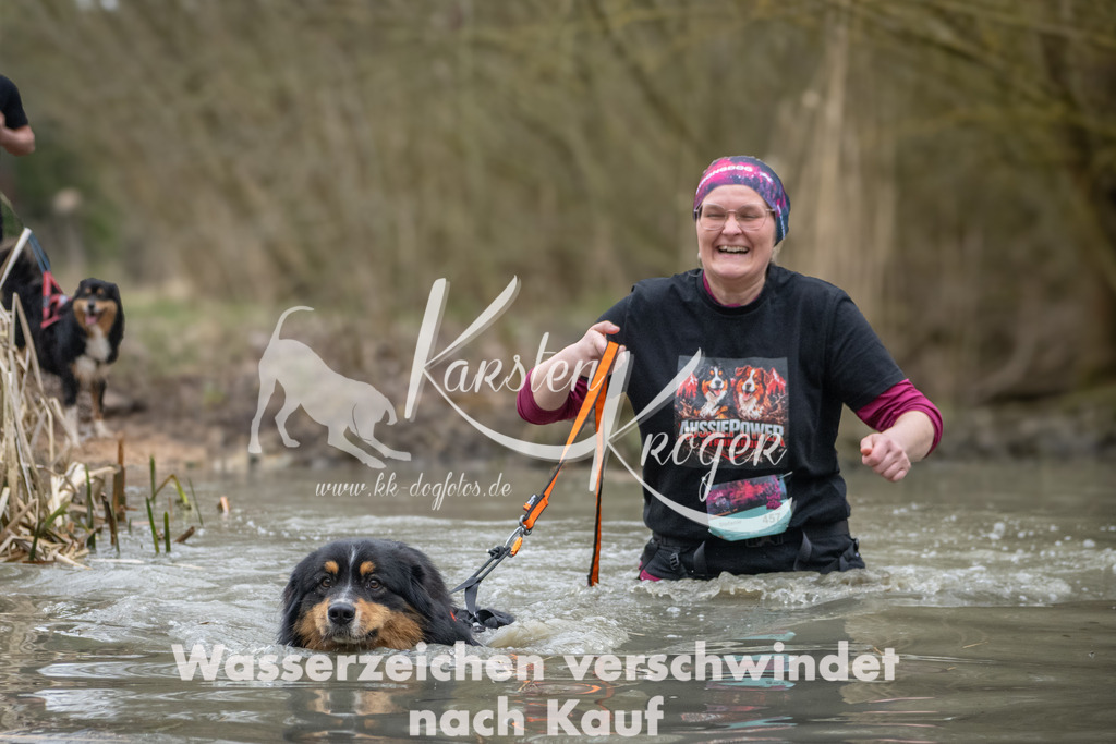 1102_ZZ94909 | kk-dogfotos