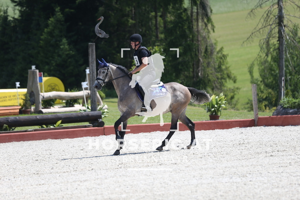 DL2Q2004 | Willkommen bei Brunnmayr - Design & Fotografie – Ihrem Spezialisten für Reitturniere und Pferdeveranstaltungen in Oberösterreich, Salzburg und Bayern! Seit über 17 Jahren sind wir leidenschaftlich dabei.