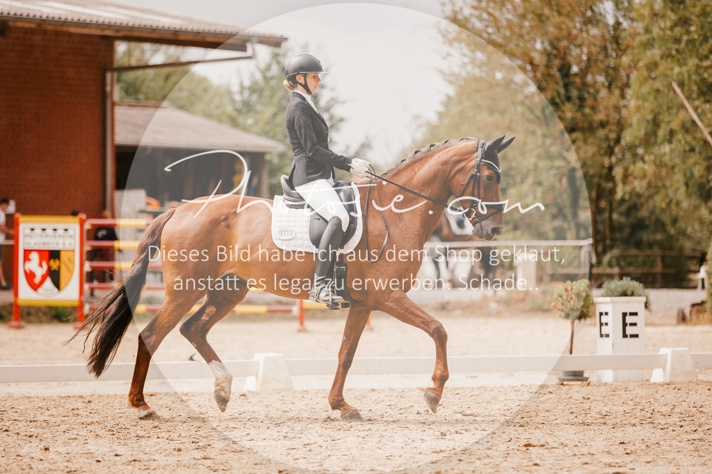 3I6A6201 | Stimmungsvolle Portraits und Reitsportfotografie im Ruhrgebiet und im Münsterland.

Pferdefotografie, Hundefotografie, Tierfotografie, Reportagen, Portraits von Tier und Mensch, Turnierfotografie in Bochum, Recklinghausen, Marl, Haltern am See, Dülmen.. - Realisiert mit Pictrs.com