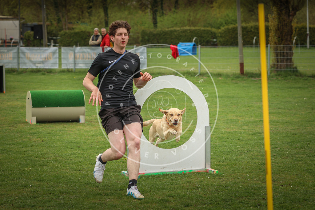 Pfotenfotografie_0L8A1646 | Hundefotografie, Tierfotograf, Pfotenfotografie, Fotoshooting Hund, Hunde Portrait, Hundesport, Hundeportraits, Heideshooting, Hunde, Sportfotograf, Hundefotograf, Turnierhundsport, THS,  - Realisiert mit Pictrs.com