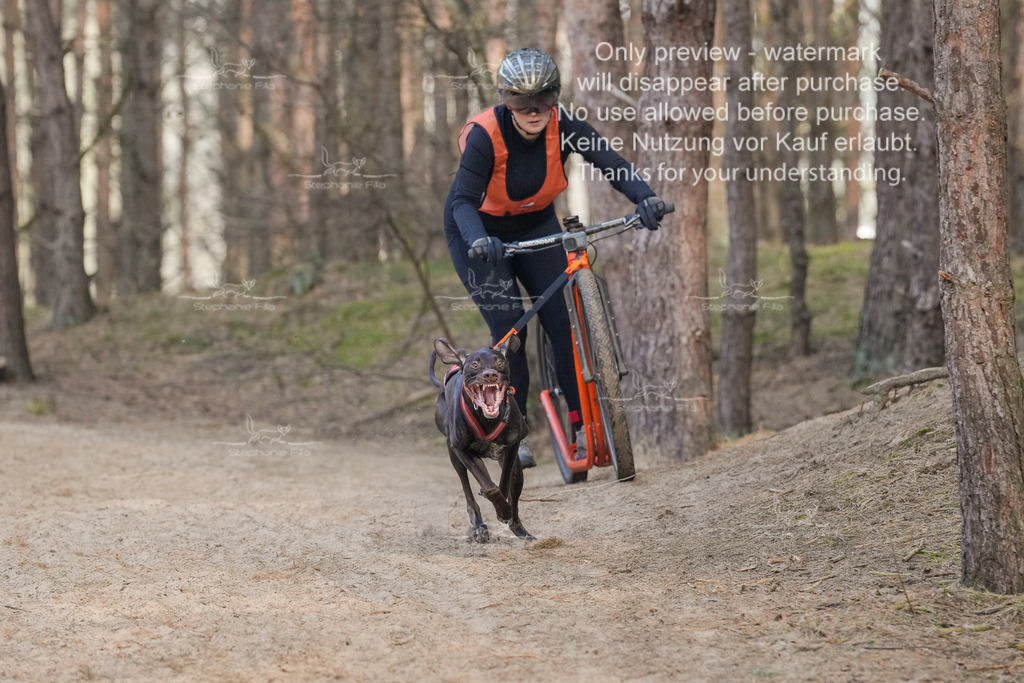 Scooter2-29 | stephaniefillaphotographie - Realisiert mit Pictrs.com