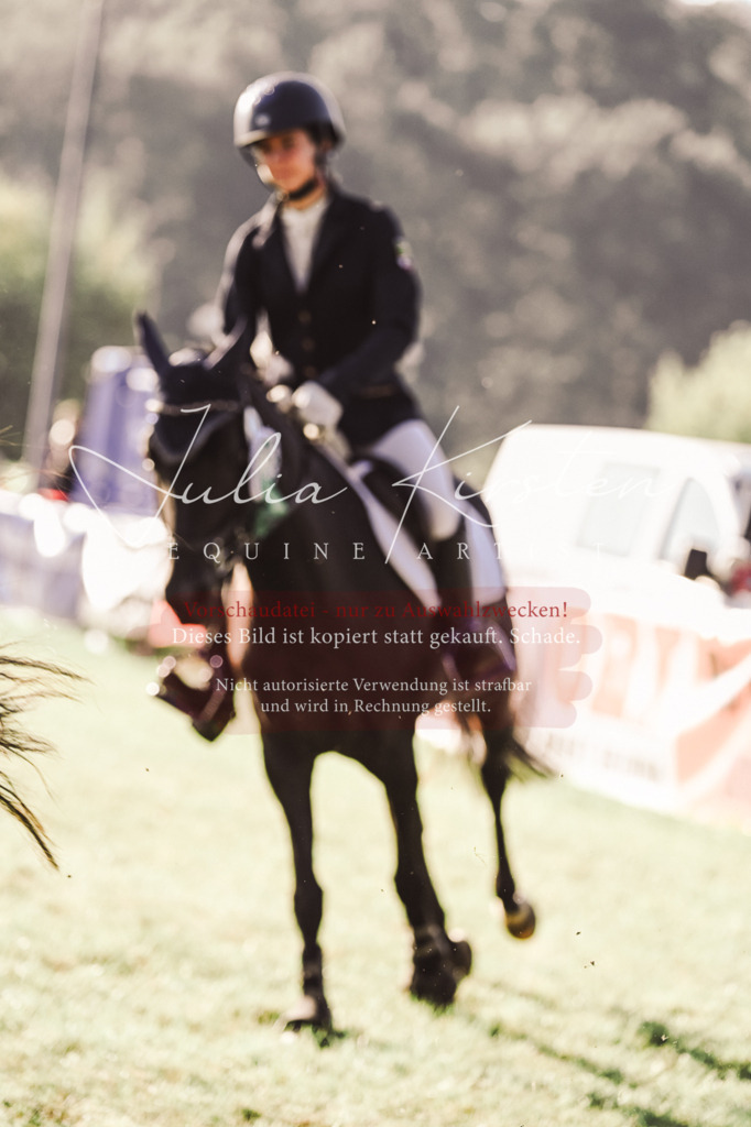 DSC_4649 | Pferde- und Turnierfotografie in Westsachsen. Pferdeportraits, Auftragszeichnungen und intuitive Kunst.