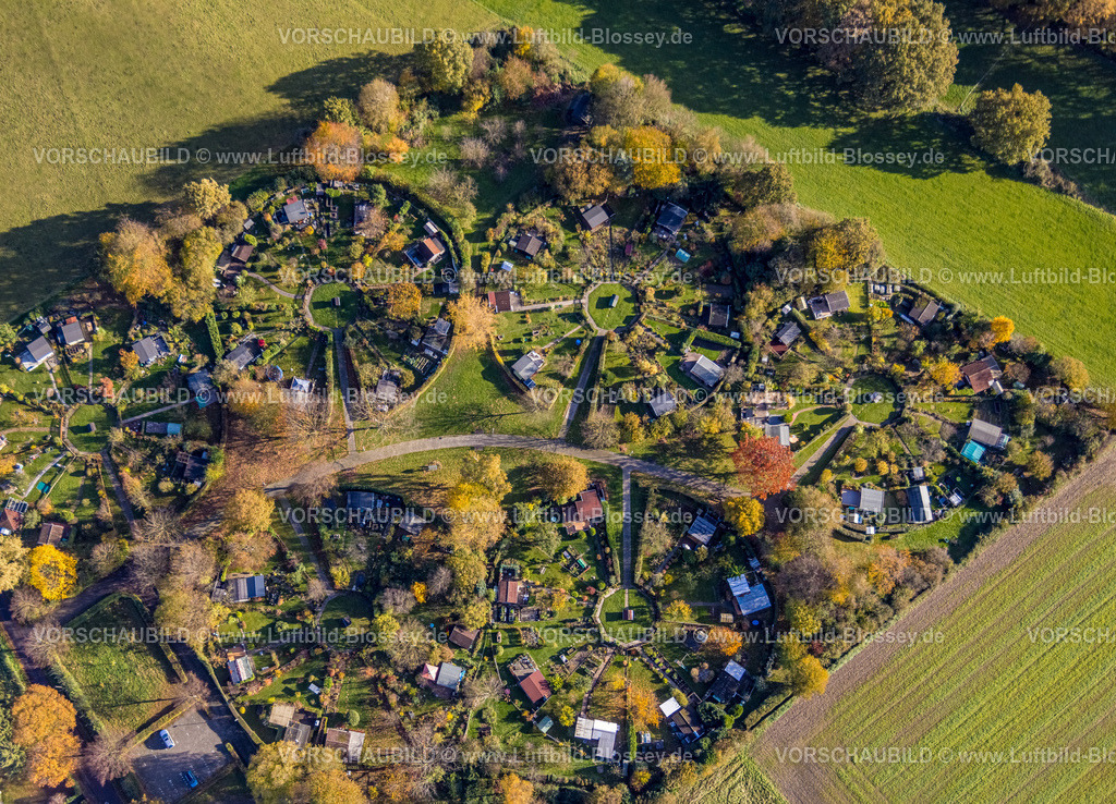 Witten231101292 | Luftbild, Kleingartenverein Am Heuweg e.V., Lauben und Häuser in kreisrunder Form geordnet, Gartenanlage mit Laubbäumen in Herbstfarben, Stockum, Witten, Ruhrgebiet, Nordrhein-Westfalen, Deutschland