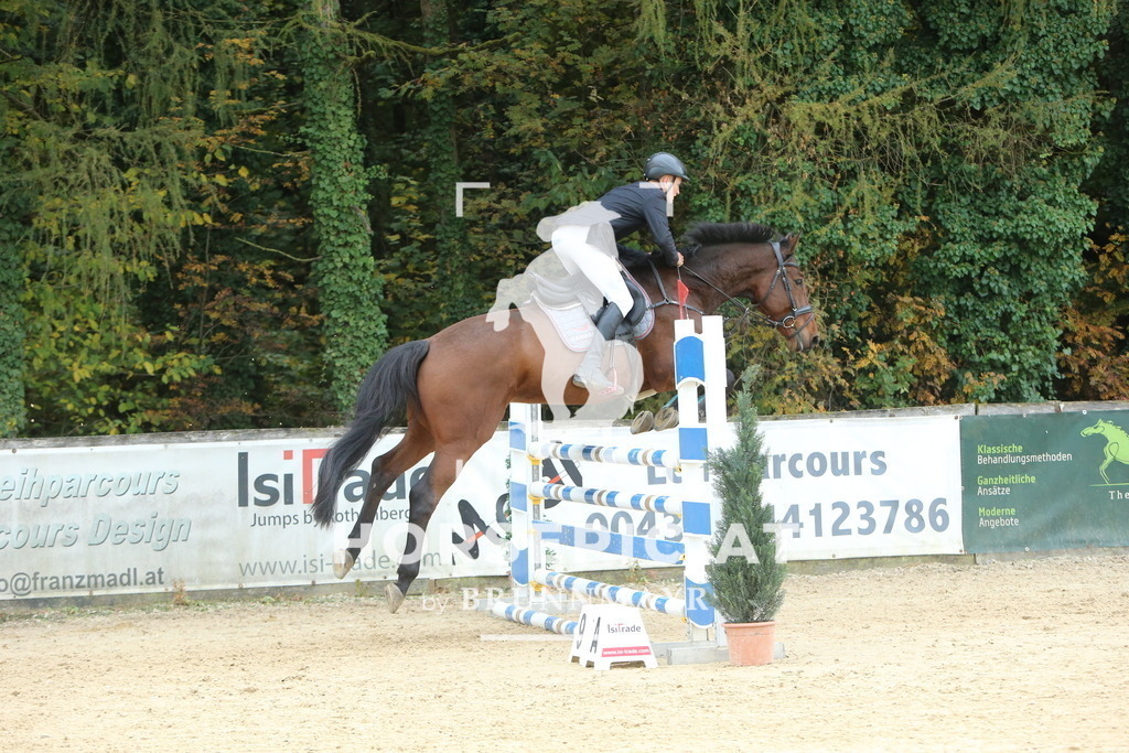 DL2Q7377 | Willkommen bei Brunnmayr - Design & Fotografie – Ihrem Spezialisten für Reitturniere und Pferdeveranstaltungen in Oberösterreich, Salzburg und Bayern! Seit über 17 Jahren sind wir leidenschaftlich dabei.