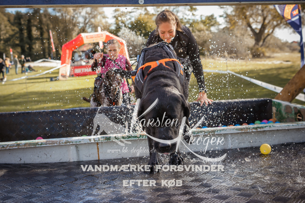 1317_ZZ99949-2 | kk-dogfotos