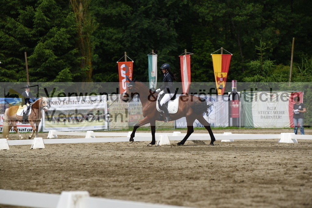 DSC_8637 | equestrian-live-com