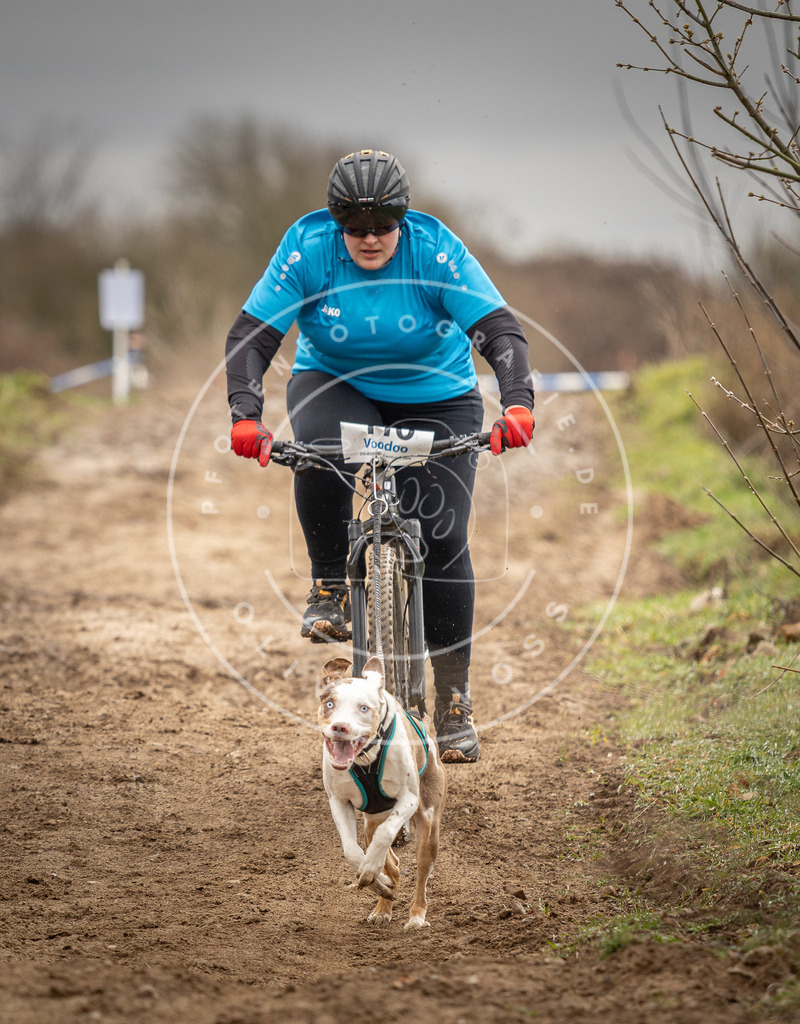 DV3A0684 | Hundefotografie, Tierfotograf, Pfotenfotografie, Fotoshooting Hund, Hunde Portrait, Hundesport, Hundeportraits, Heideshooting, Hunde, Sportfotograf, Hundefotograf, Turnierhundsport, THS,  - Realisiert mit Pictrs.com