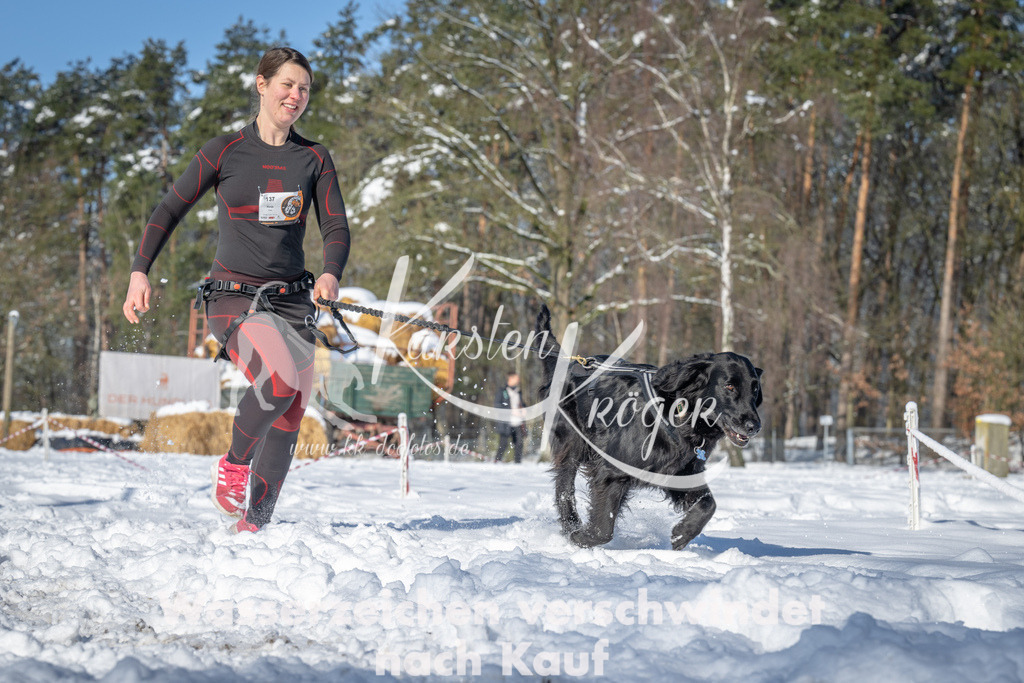 1036_ZZ91905-2 | kk-dogfotos