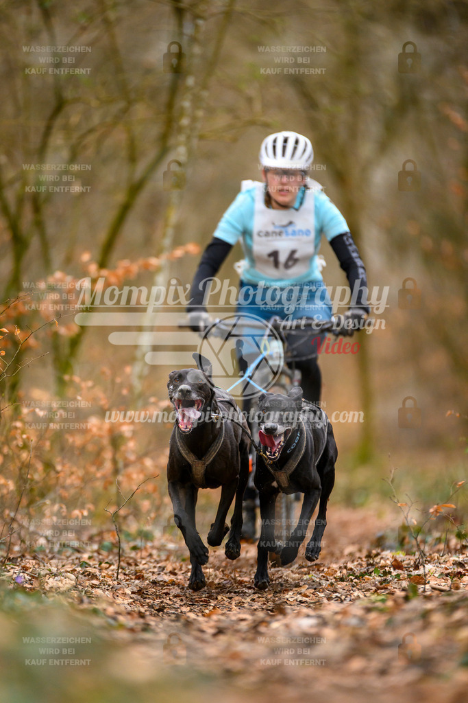 MompixPhotography_ReiatRennen2024_SO_Bike2H-6 | PayLife