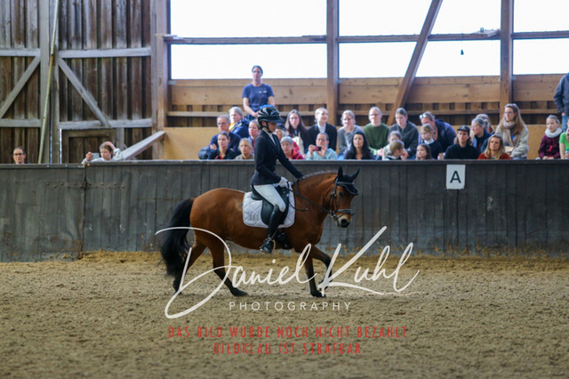 IMG_1175 | Turniersportfotografie; Pferdefotografie; Dressurfotografie