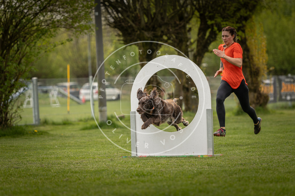 Pfotenfotografie_DV3A6845 | Hundefotografie, Tierfotograf, Pfotenfotografie, Fotoshooting Hund, Hunde Portrait, Hundesport, Hundeportraits, Heideshooting, Hunde, Sportfotograf, Hundefotograf, Turnierhundsport, THS,  - Realisiert mit Pictrs.com