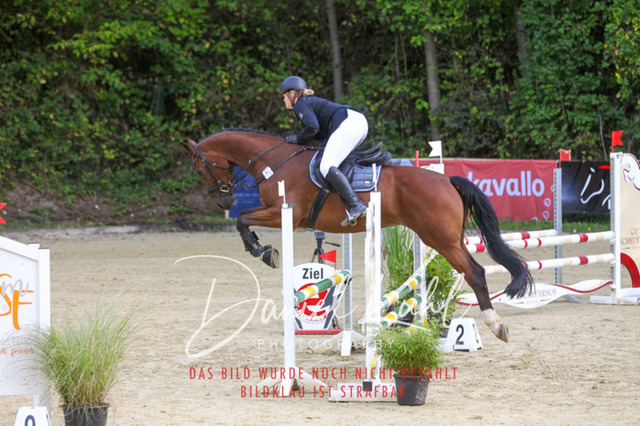 DKP42696 | Turniersportfotografie; Pferdefotografie; Dressurfotografie