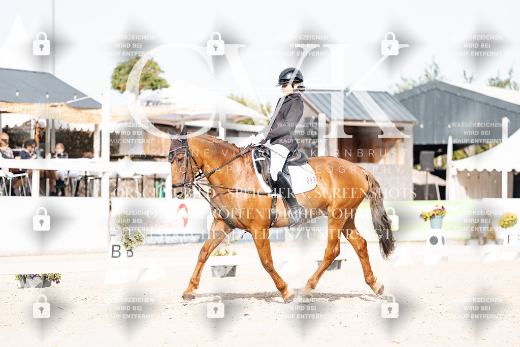 CK905207 | Turnierfotografie Pferdefotografie Trier Rheinland-Pfalz Pferdesport Reitsport Tierfotografie Sportfotografie Pferdevideo Pferdevideografie Equestrianvideography equestrianphotography  - Realisiert mit Pictrs.com