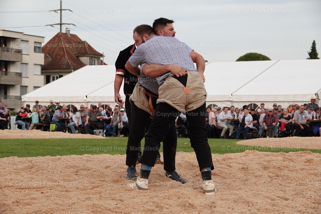 DSC08510 | Schwingen - Realisiert mit Pictrs.com