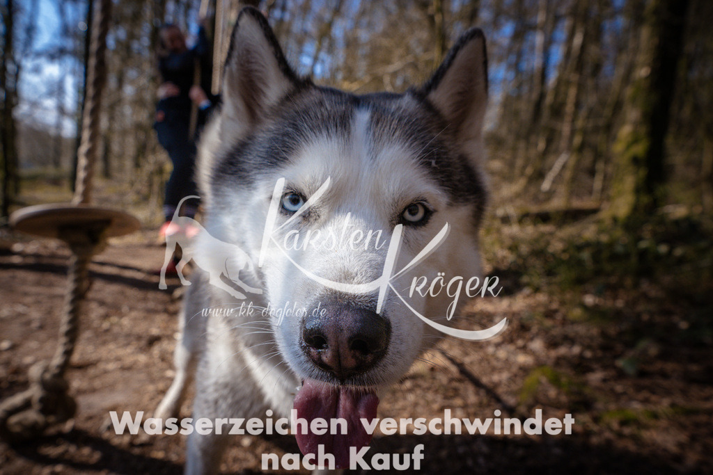 0944_ZZ99678 | kk-dogfotos