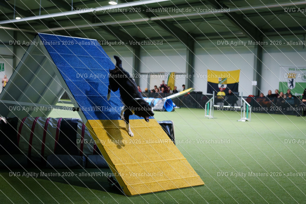 allesWIRTHgut_Tierfotografie-DVG_Agility_Masters_2026-15_58-7R507365 | Professionelle Tierfotografie in Mönchengladbach von Daniel Wirth (allesWIRTHgut). Liebevolle & natürliche Bilder von Hunden & Katzen für unvergessliche Erinnerungen.