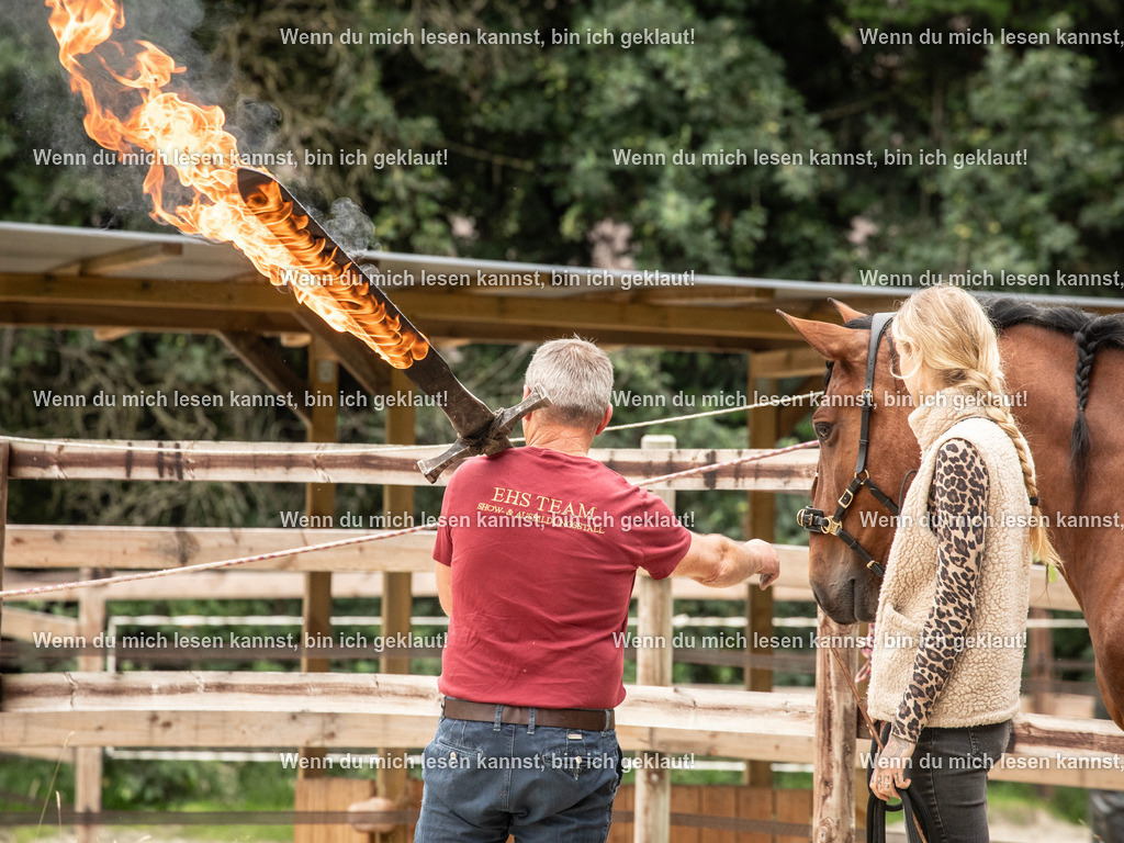 598A6155 | photographylinaismer - Realisiert mit Pictrs.com