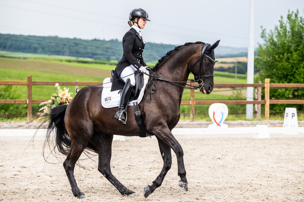 Luxembourg Dressage Championship 2025 - Senior League B | Luxembourg Dressage Championship 2025 - Magali Goergen on Donnalittchen - Realisiert mit Pictrs.com