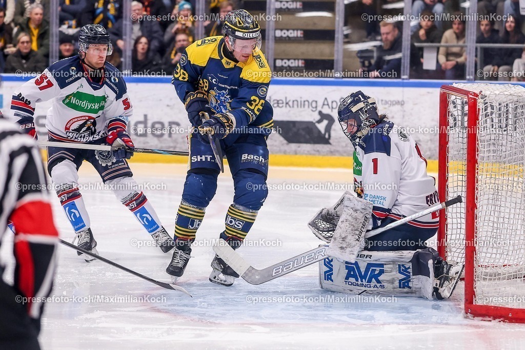 BFX27012601096 | 27.01.2026, Eishockey, Metal Ligaen Denmark, Herning Blue Fox - Frederikshavn White Hawks, KVIK Hockey Arena in Herning, Dänemark: Morten Poulsen&nbsp;(LW/RW)"C" (Blue Fox Herning #38) beim Schuss auf das Tor von Kevin Dich Frydkjaer&nbsp;(G) (Frederikshavn White Hawks #01)