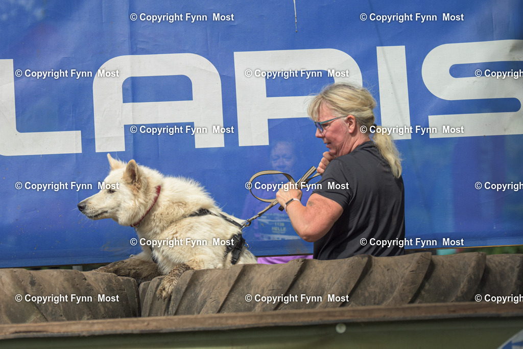 DSC_0903 | Hallo und herzlich Willkommen auf meiner Shop-Seite Fynn Most.

Ich wünsche Dir viel Spaß beim stöbern durch die Bilder, wenn Du Fragen hast oder Bilder vermisst, kannst du mir gerne eine Nachricht schreiben. - Realisiert mit Pictrs.com