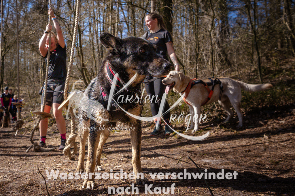 1115_ZZ97153 | kk-dogfotos