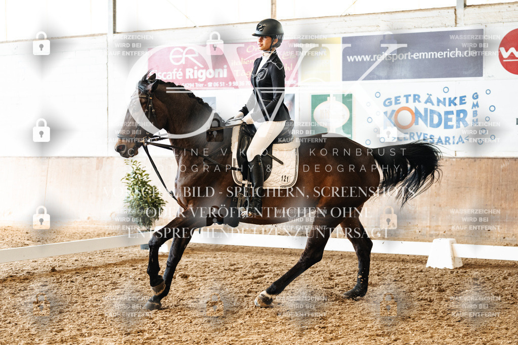 CK900055 | Turnierfotografie Pferdefotografie Trier Rheinland-Pfalz Pferdesport Reitsport Tierfotografie Sportfotografie Pferdevideo Pferdevideografie Equestrianvideography equestrianphotography  - Realisiert mit Pictrs.com