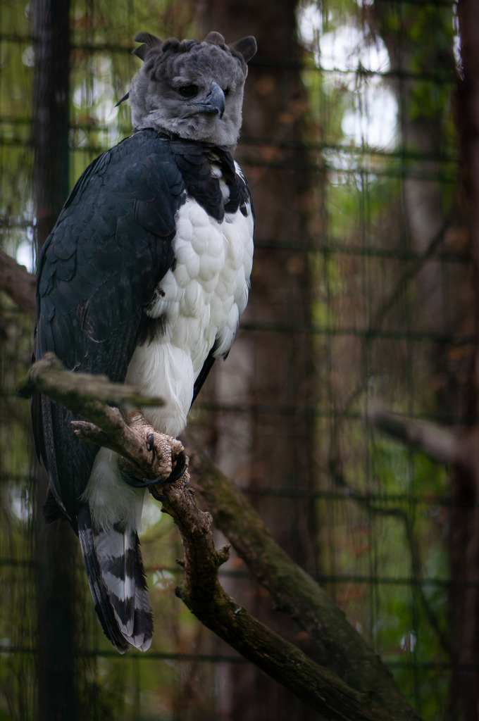 DSC_7056 | kaefersammler_roy - Realisiert mit Pictrs.com