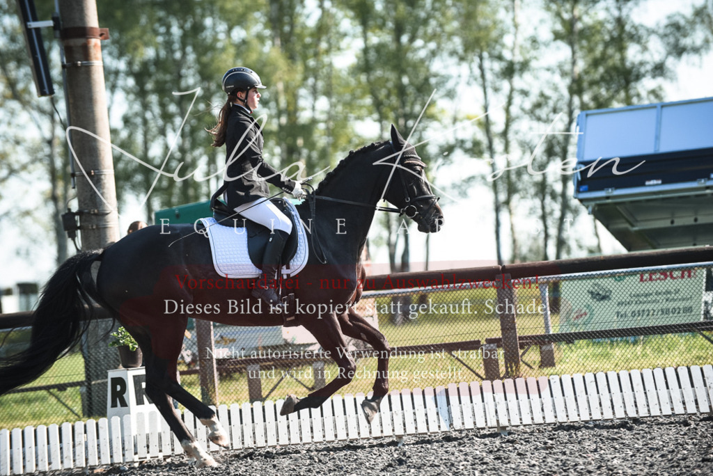 DSC_8350 | Pferde- und Turnierfotografie in Westsachsen. Pferdeportraits, Auftragszeichnungen und intuitive Kunst.