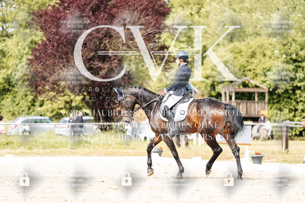 CK901154 | Turnierfotografie Pferdefotografie Trier Rheinland-Pfalz Pferdesport Reitsport Tierfotografie Sportfotografie Pferdevideo Pferdevideografie Equestrianvideography equestrianphotography  - Realisiert mit Pictrs.com