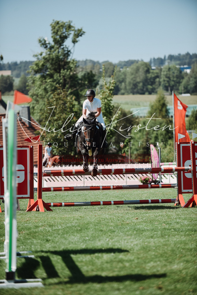 DSC_3066 | Pferde- und Turnierfotografie in Westsachsen. Pferdeportraits, Auftragszeichnungen und intuitive Kunst.