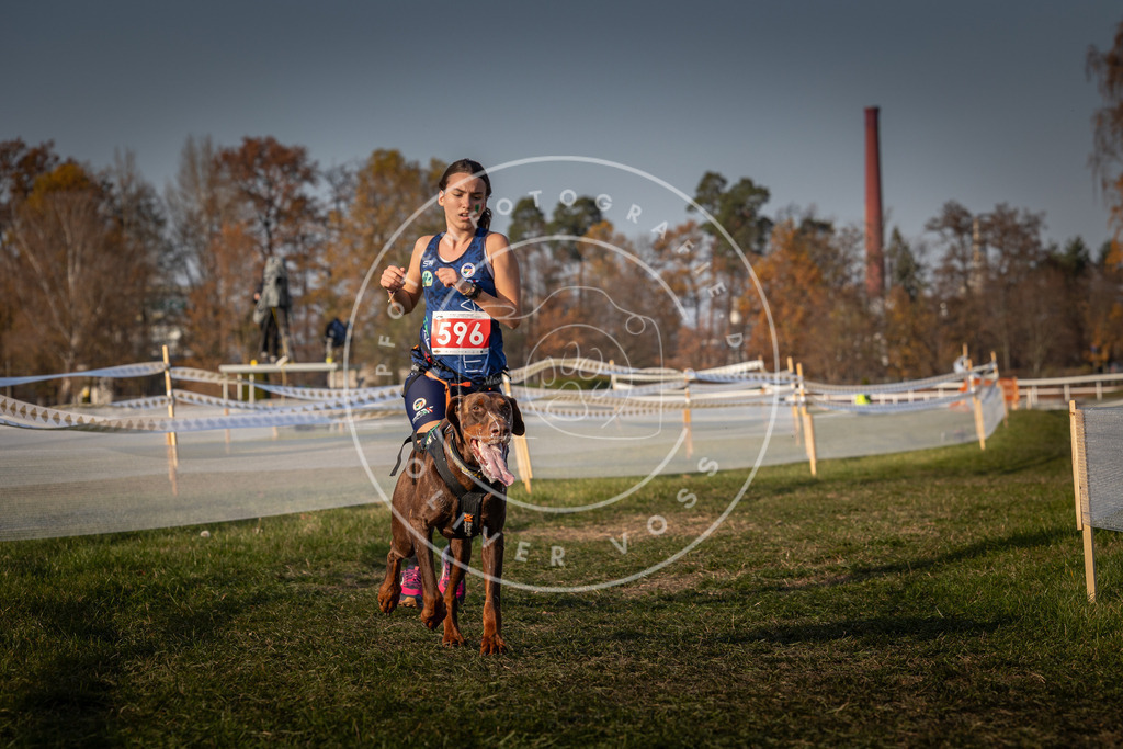 CaniXpix_0L8A0061 | Hundefotografie, Tierfotograf, Pfotenfotografie, Fotoshooting Hund, Hunde Portrait, Hundesport, Hundeportraits, Heideshooting, Hunde, Sportfotograf, Hundefotograf, Turnierhundsport, THS,  - Realisiert mit Pictrs.com