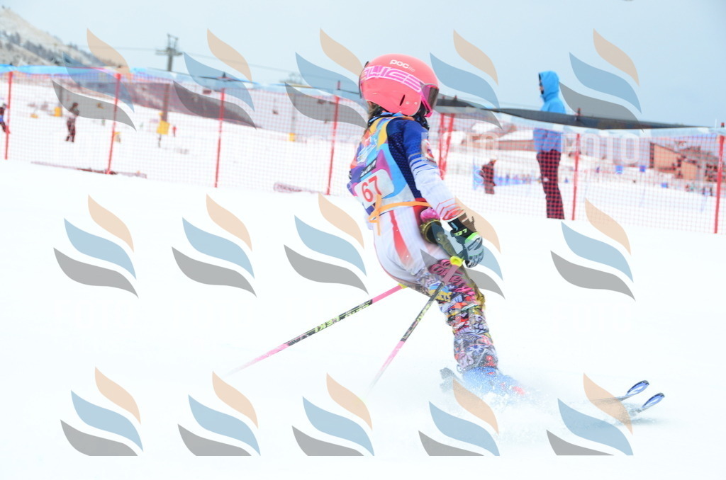 DSC_1047 | holidayphoto