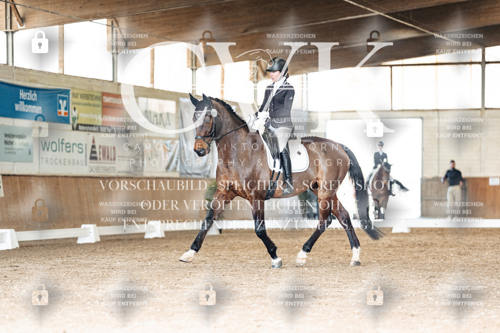 CK901923 | Turnierfotografie Pferdefotografie Trier Rheinland-Pfalz Pferdesport Reitsport Tierfotografie Sportfotografie Pferdevideo Pferdevideografie Equestrianvideography equestrianphotography  - Realisiert mit Pictrs.com