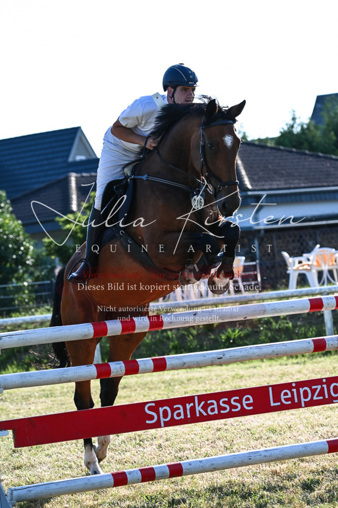 DSC_2726 | Pferde- und Turnierfotografie in Westsachsen. Pferdeportraits, Auftragszeichnungen und intuitive Kunst.