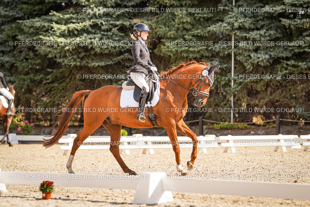 DSC00750 | Pferdegrafie