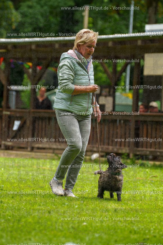 @allesWIRTHgut_Tierfotografie - www.allesWIRTHgut.de - 130223-7R509721 | Professionelle Tierfotografie in Mönchengladbach von Daniel Wirth (allesWIRTHgut). Liebevolle & natürliche Bilder von Hunden & Katzen für unvergessliche Erinnerungen.