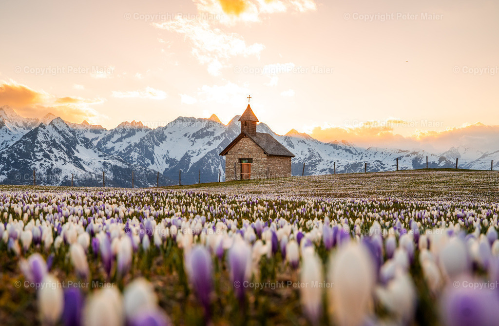 Glocknerblick-644 | piet_flosse